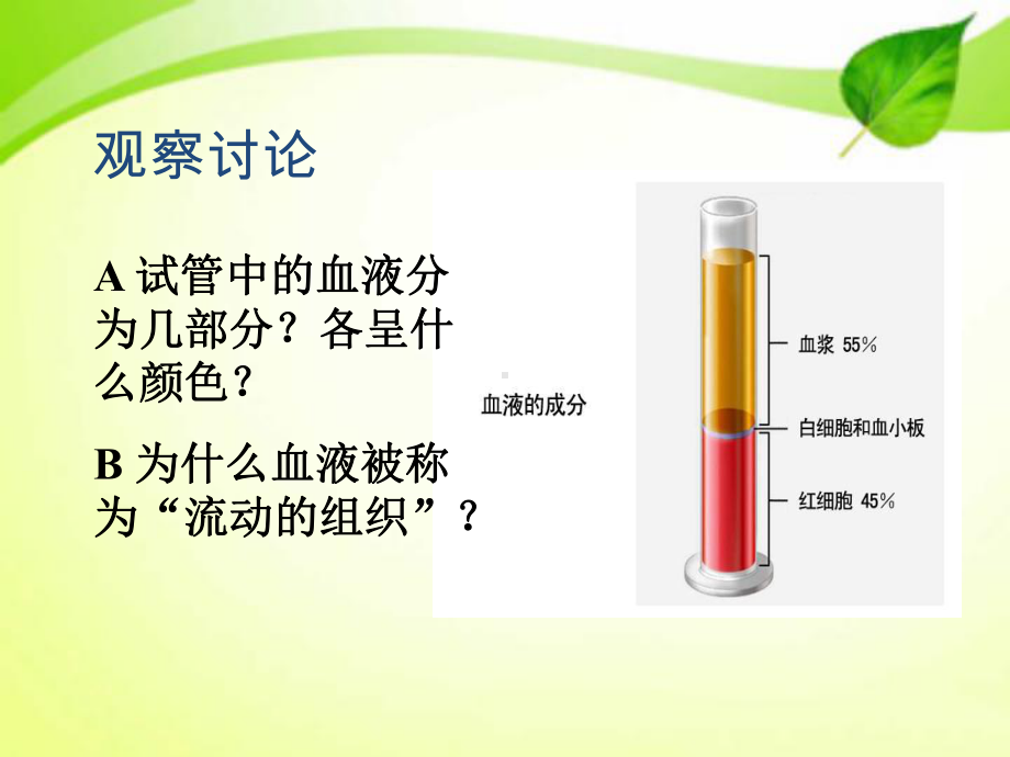 流动的组织血液 ppt课件.pptx_第3页