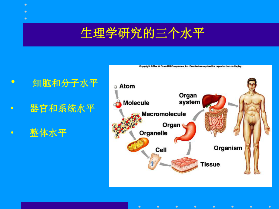 生物竞赛课件系列集锦之-组织器官.ppt_第3页