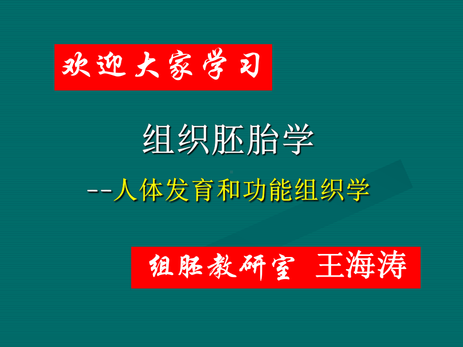 组织胚胎学研究内容和方法PPT课件.ppt_第1页