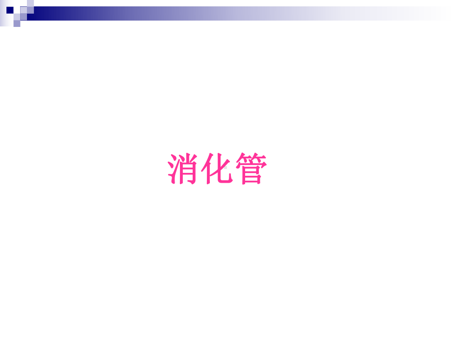 组织学与胚胎学切片图1 ppt课件.ppt_第2页