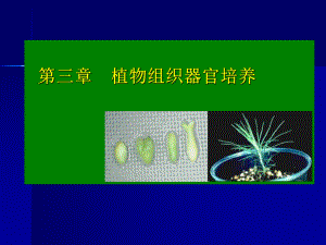 第三章植物组织器官培养[课件]].ppt