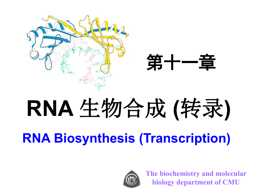 生物化学课件-RNA 生物合成 (转录).ppt_第1页