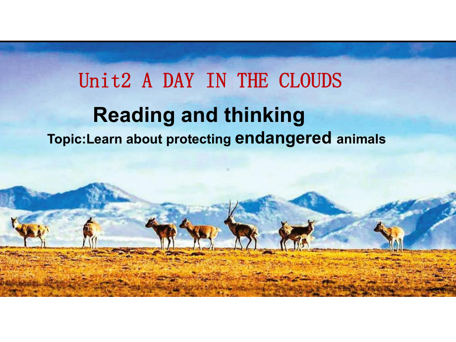 Unit2 Wildlife protection Period 2 reading and thinking ppt课件-（2019）新人教版高中英语必修第二册.pptx_第1页