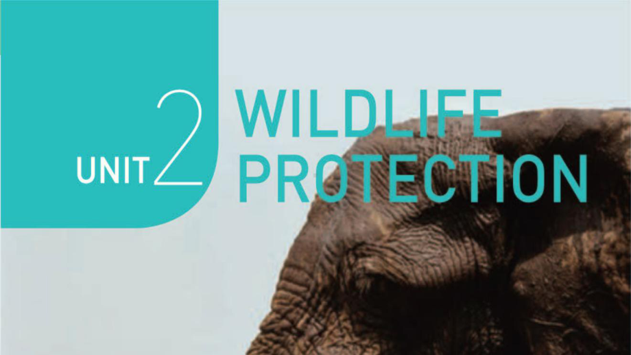 Unit+2+Wildlife+Protection+Reading+and+Thinking+ppt课件-（2019）新人教版高中英语必修第二册.pptx_第1页