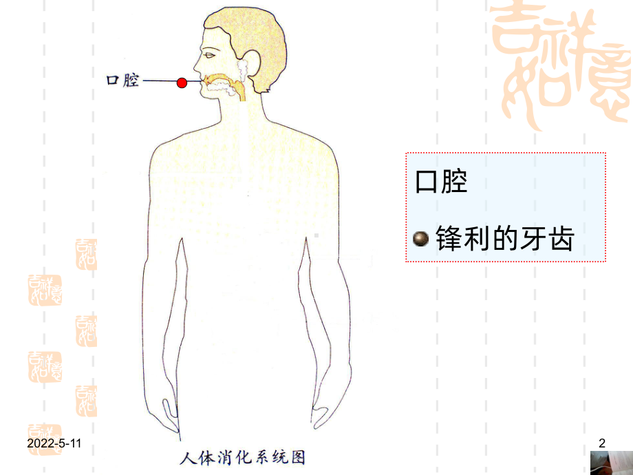 幼儿园大班健康保护我的肠胃PPT课件.ppt_第2页