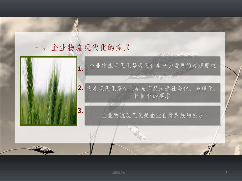《企业物流的现代化》PPT课件.ppt_第3页