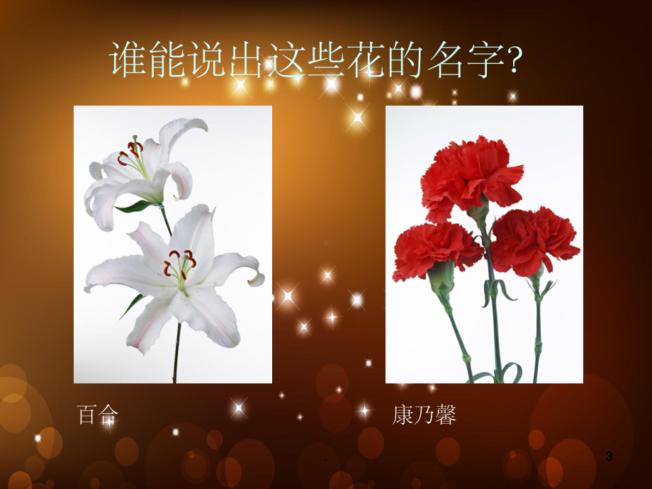 生活与艺术中的花ppt课件.ppt_第3页