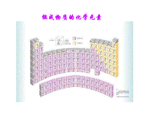 组成物质的化学元素精选教学PPT课件.ppt