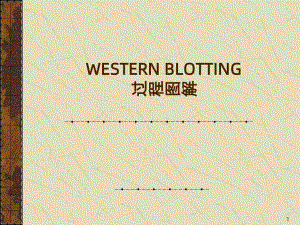 WESTERNBLOT操作步骤图PPT课件.ppt