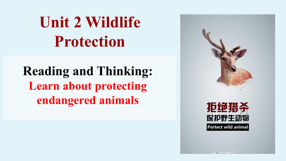 Unit 2 Wild life Protection reading and thinkingppt课件ppt课件-（2019）新人教版高中英语必修第二册.pptx_第1页