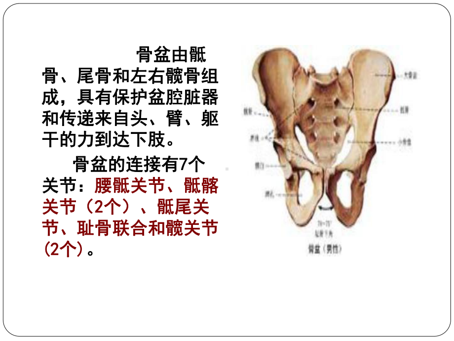 最新关节运动学、髋与骨盆主题讲座课件.ppt_第3页