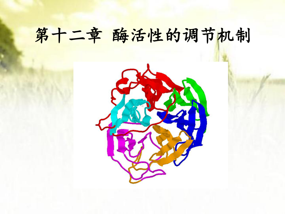 酶活性的调节机制-PPT课件.ppt_第1页