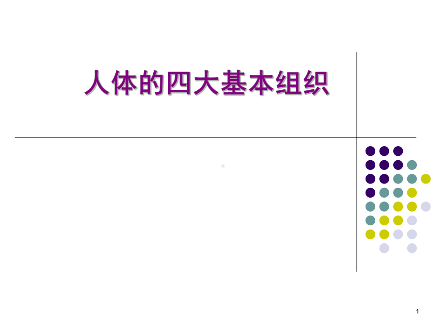 解剖学基本组织ppt课件.ppt_第1页