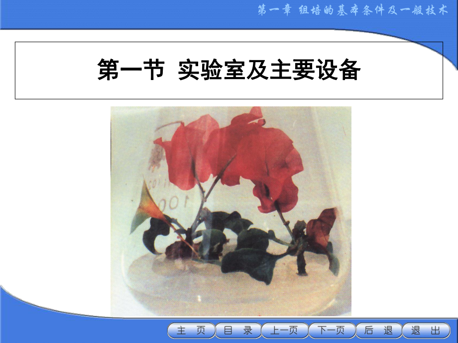 植物组织培养实验室的构建和操作技术专题培训课件.ppt_第2页