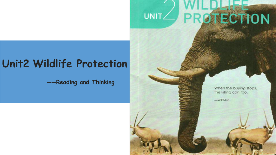 Unit 2 Wild life Protection Reading and Thinking ppt课件-（2019）新人教版高中英语必修第二册.pptx_第1页