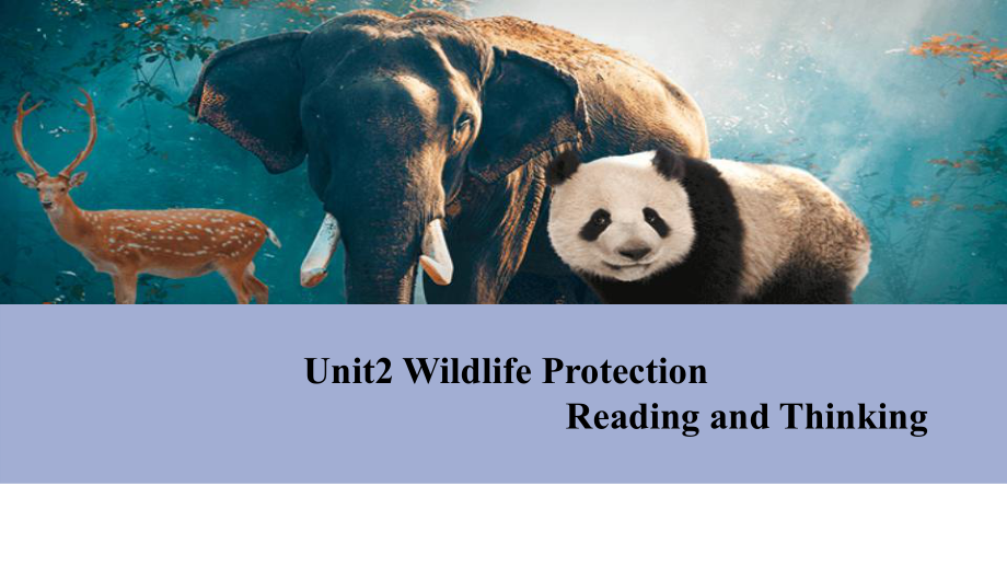 Unit 2 Wild life Protection Reading and Thinking ppt课件-（2019）新人教版高中英语必修第二册.pptx_第2页