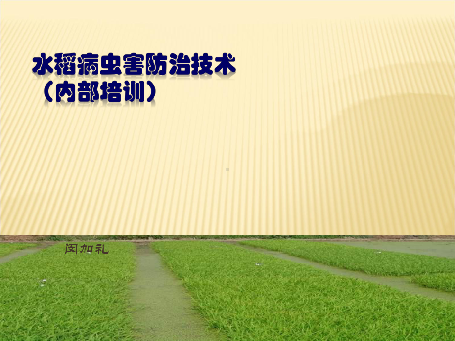 《水稻病虫害防治》PPT课件.ppt_第1页