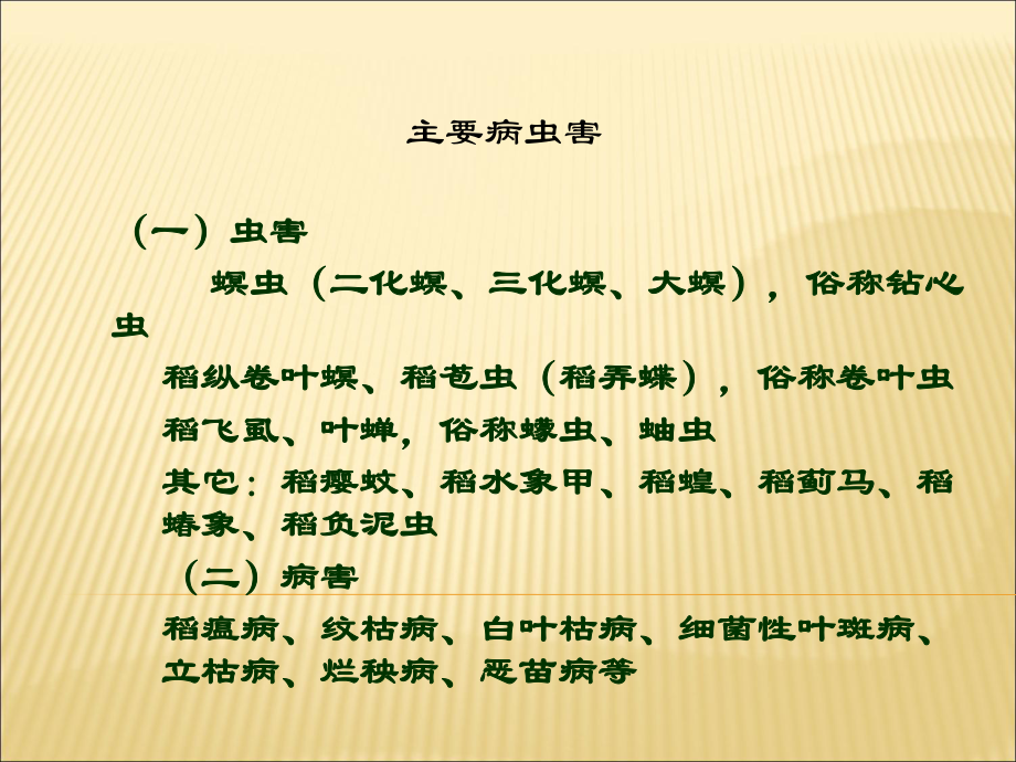 《水稻病虫害防治》PPT课件.ppt_第3页