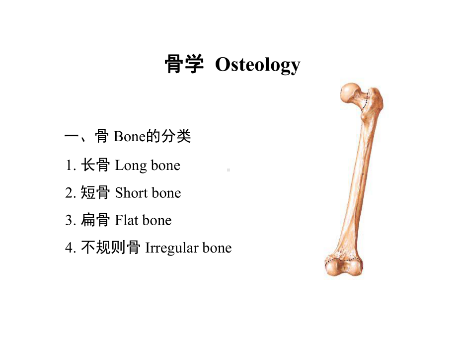 爱爱医资源-哈尔滨医科大学-系统解剖学-运动系统：上肢PPT课件.ppt_第3页