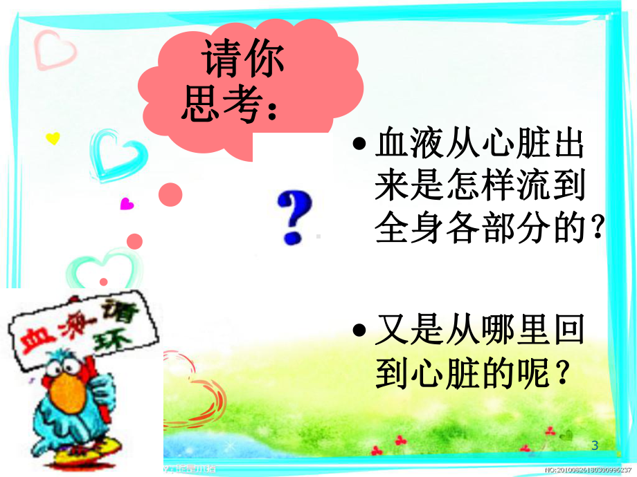 血液循环途径ppt课件.ppt_第3页