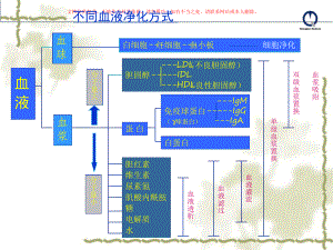 血液净化耗材透析器简介课件.ppt