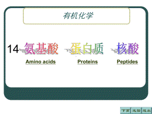 氨基酸蛋白质核酸PPT课件.ppt