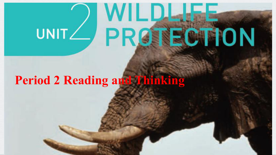 Unit2 Wildlife Protection Reading and Thinking ppt课件-（2019）新人教版高中英语必修第二册.pptx_第1页