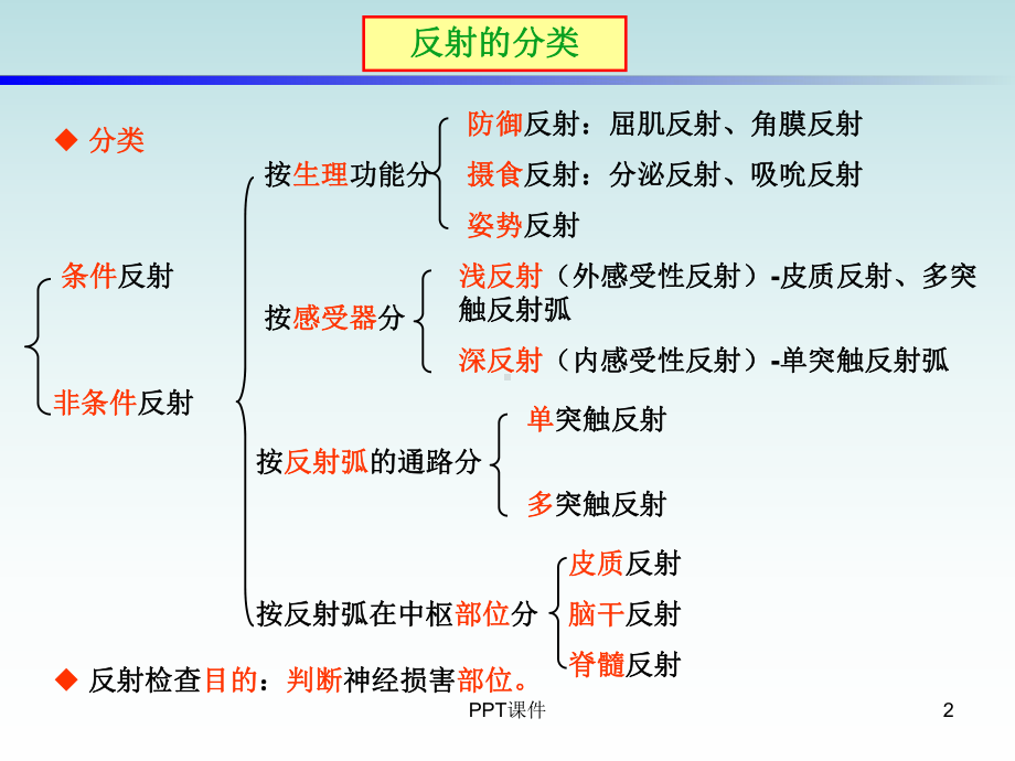 反射检查-ppt课件.ppt_第2页