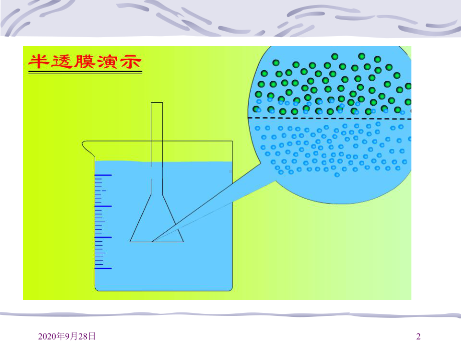 物质跨膜运输的实例-PPT课件.pptx_第2页