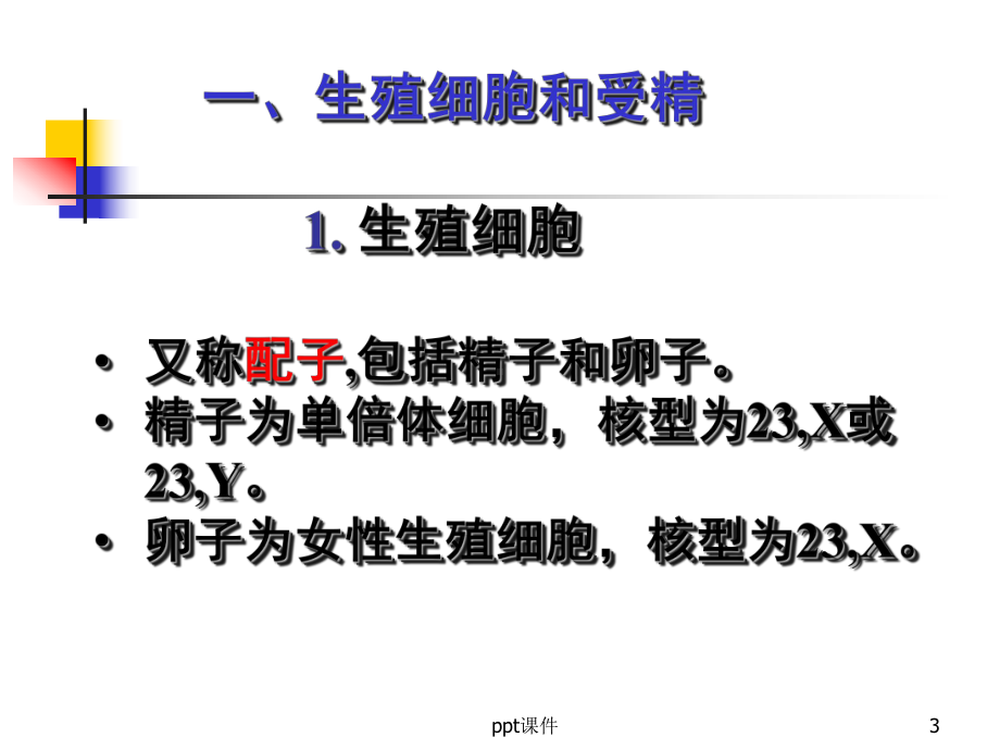 人胚发生和早期发育-组织学与胚胎学-PPT课件.ppt_第3页