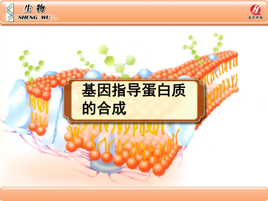 甘肃省会宁县第四中学高中生物必修二课件：4.1基因指导蛋白质的合成(共35张PPT).ppt_第1页