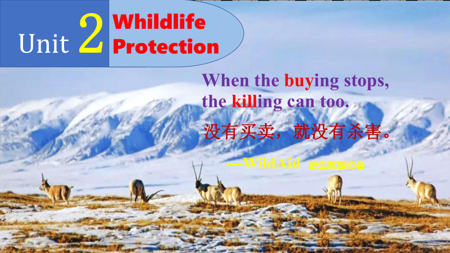 Unit 2 Wildlife Protection Reading and Thinking ppt课件-（2019）新人教版高中英语必修第二册 .ppt_第1页