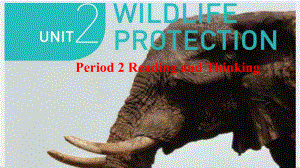 Unit 2 Wildlife Protection Reading and Thinking ppt课件-（2019）新人教版高中英语必修第二册(2).pptx