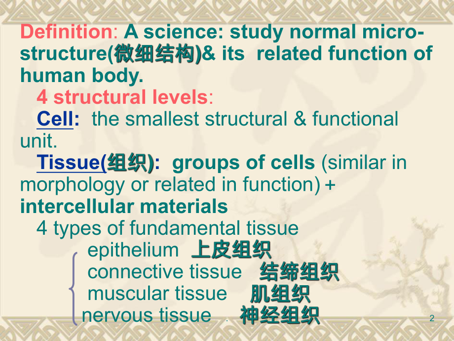 组织学与胚胎学绪论中英PPT课件.ppt_第2页