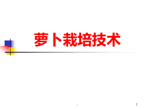 萝卜栽培技术PPT课件.ppt