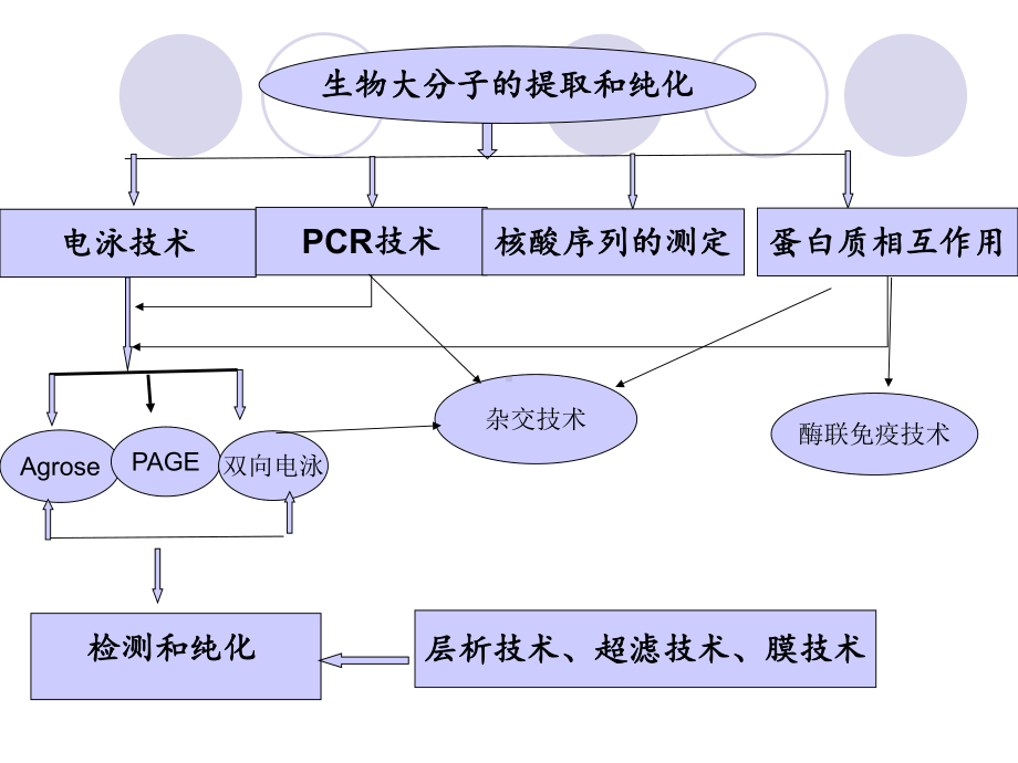 （大学课件）常见的生化与分子生物学技术大串讲.ppt_第2页