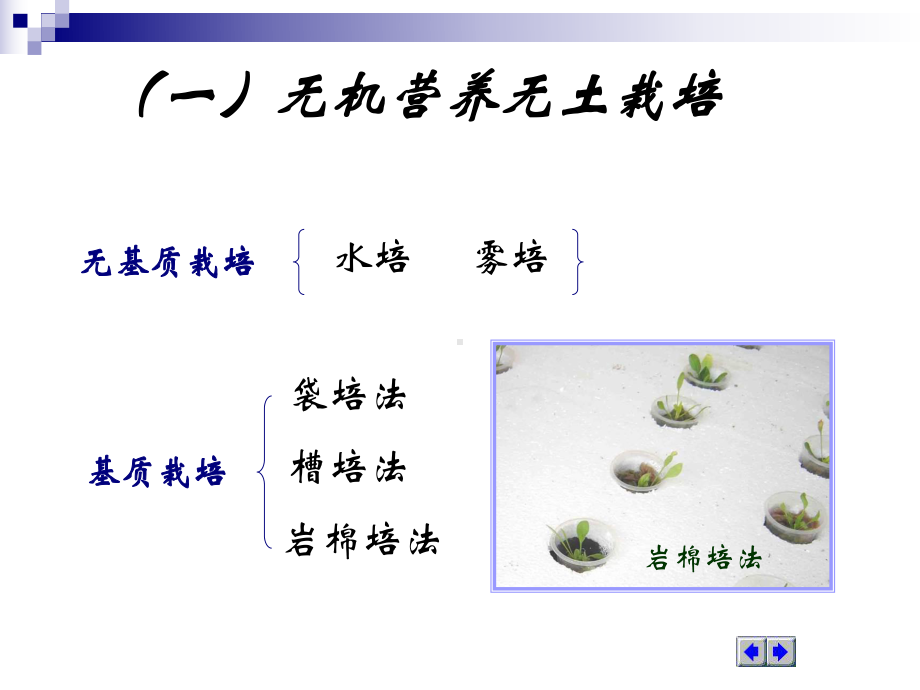 蔬菜无土栽培技术（农业）.ppt_第3页