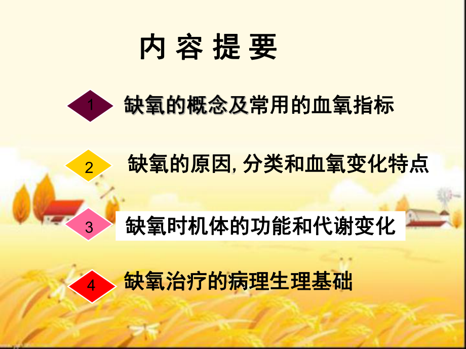 病理生理学(缺氧)课件.ppt_第2页