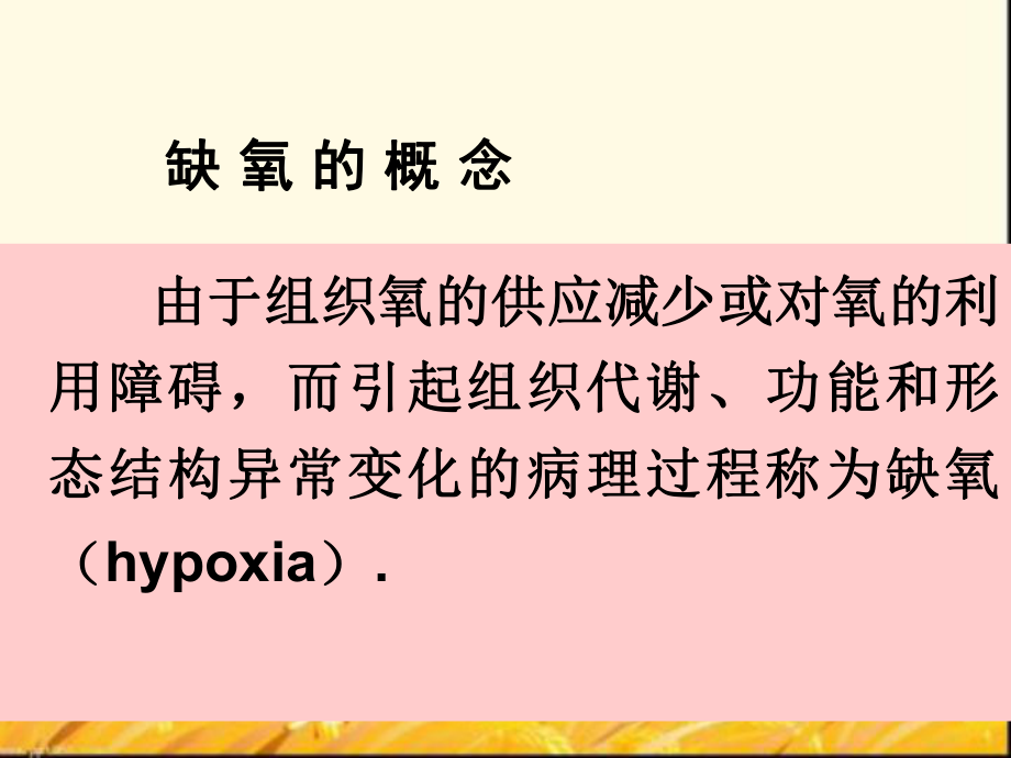 病理生理学(缺氧)课件.ppt_第3页