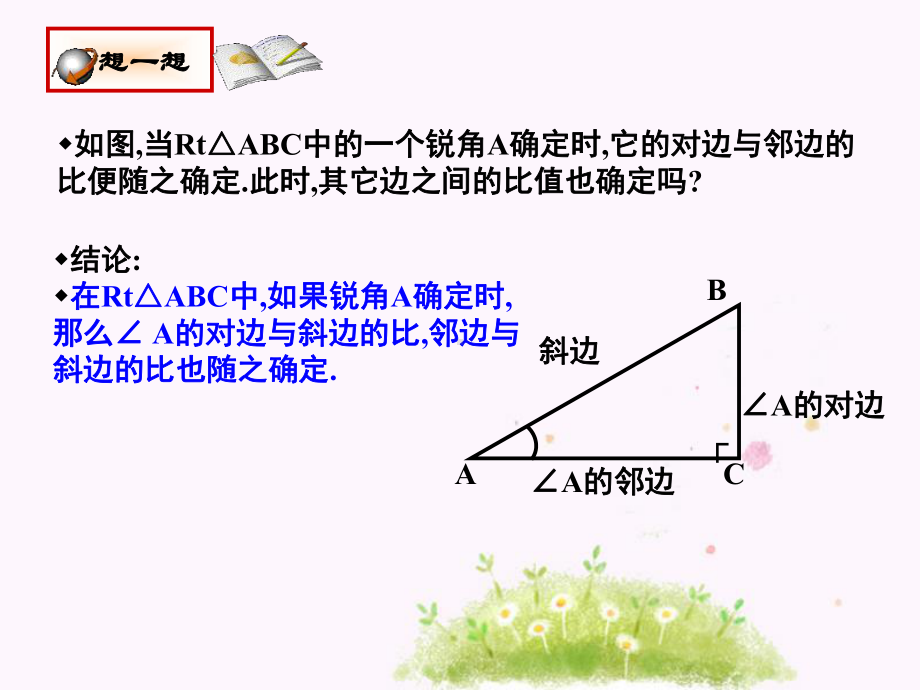 北师大版九年级数学下册课件第一章第一节锐角三角函数第二课时正弦余弦.ppt_第3页