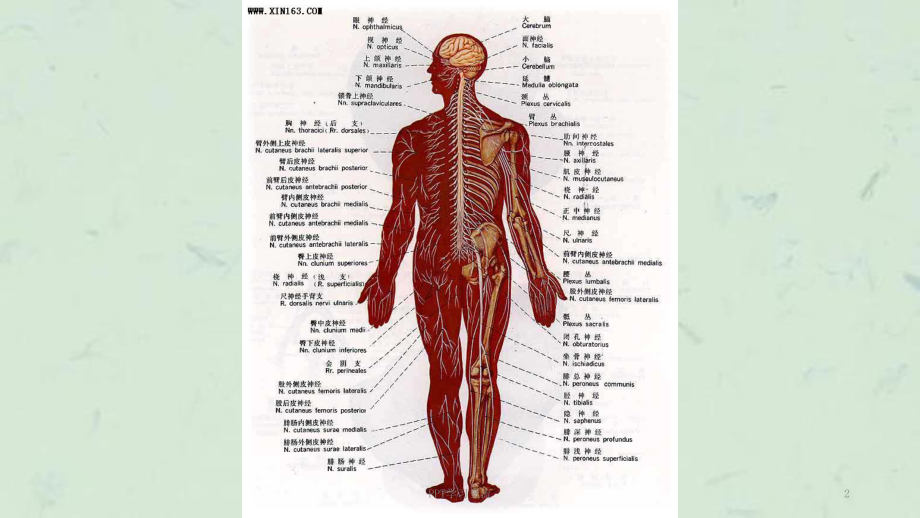 测控、保护、操作箱关系课件.ppt_第2页