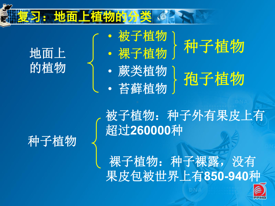 蕨类植物与苔藓植物-教学课件分析.ppt_第2页