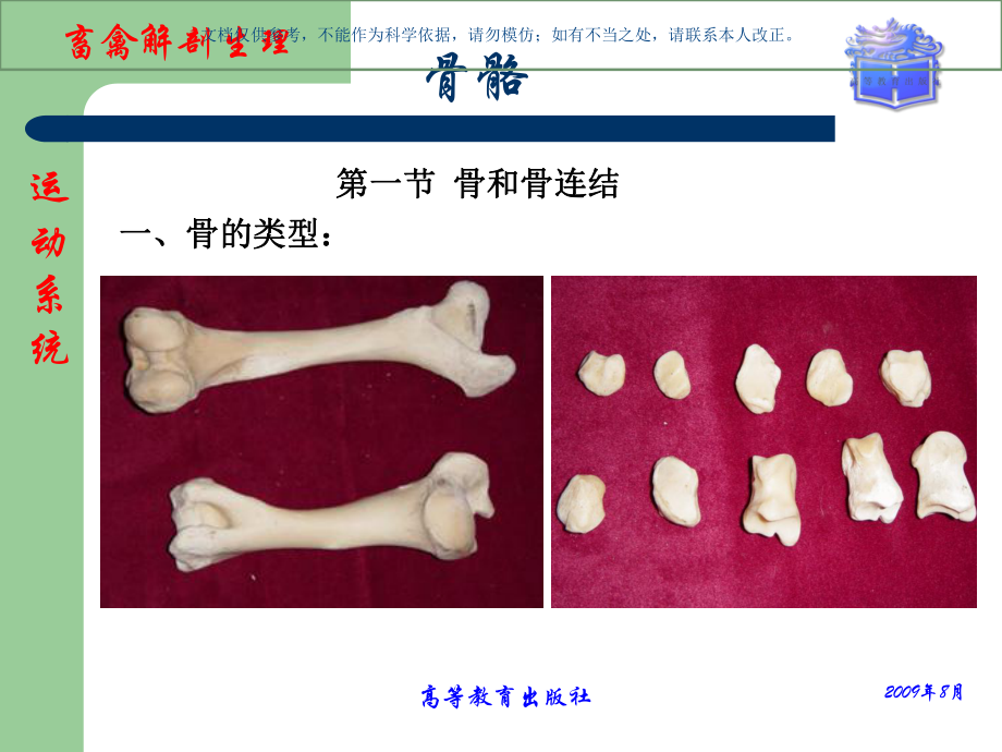 畜禽解剖生理运动系统骨骼课件.ppt_第1页