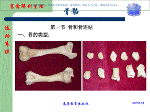 畜禽解剖生理运动系统骨骼课件.ppt