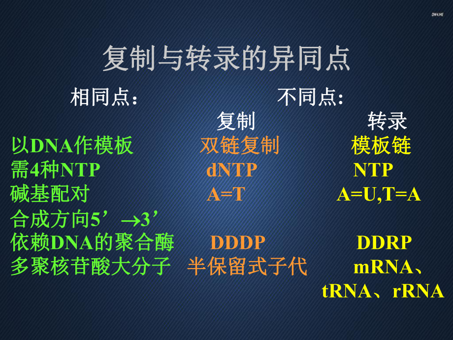 RNA的生物合成-ppt课件.ppt_第3页