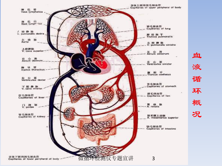 微循环检测仪专题宣讲培训课件.ppt_第3页