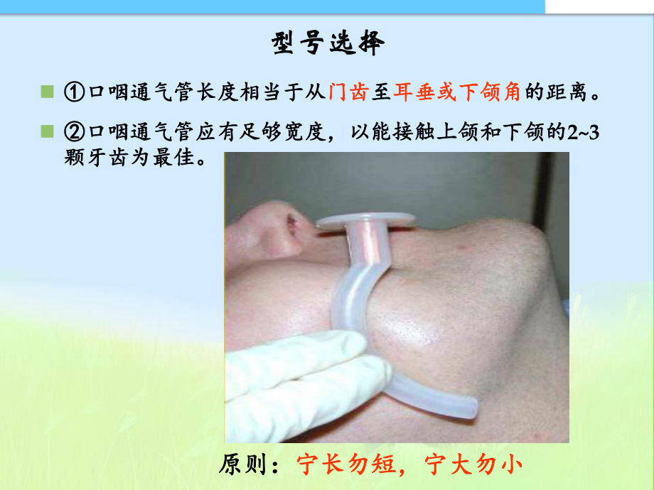 口咽通气道的使用技术课件pptppt