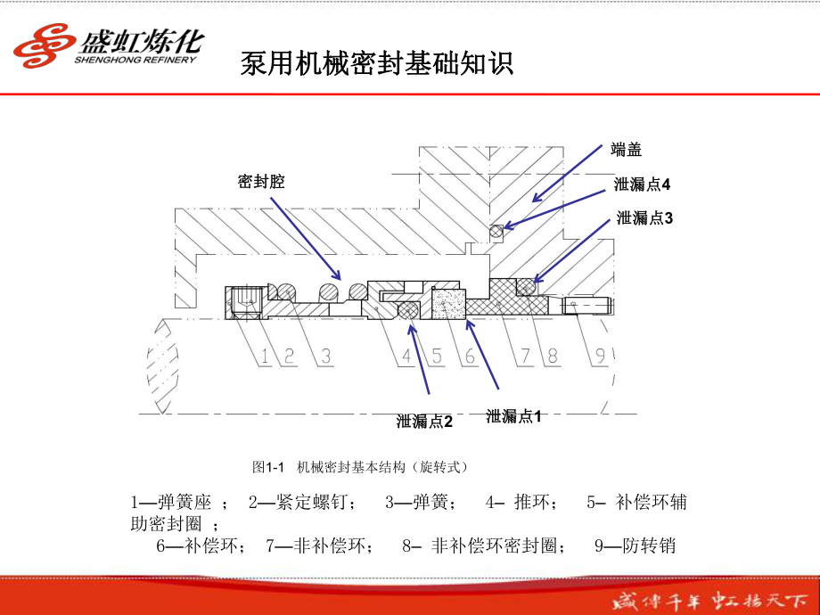 泵用机械密封基础知识-ppt课件.ppt_第3页