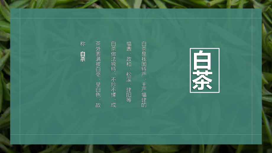 中华传统茶文化茶艺白茶介绍讲座课件.pptx_第2页