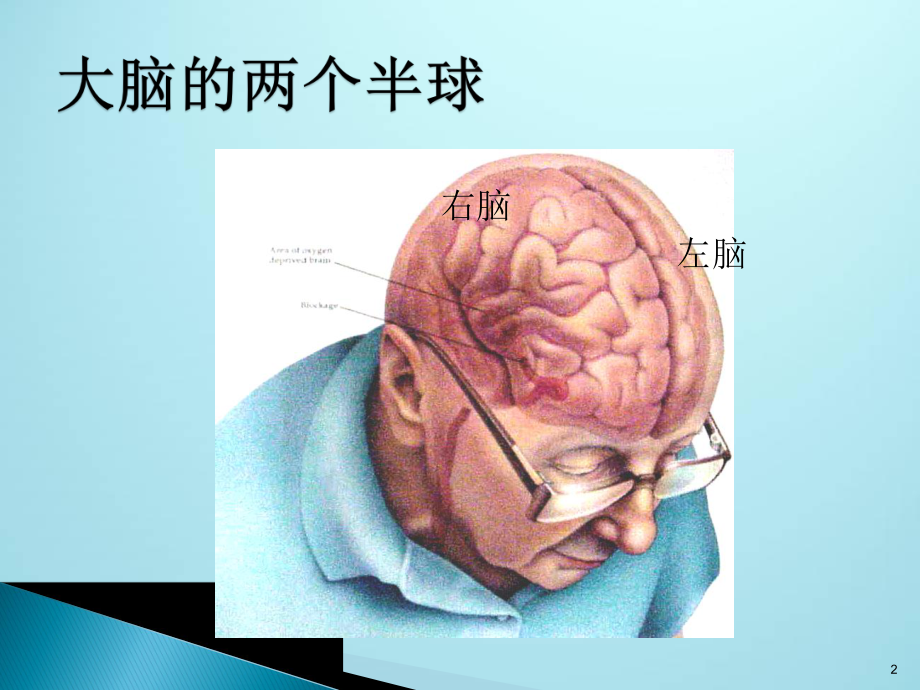 脑组织血液供应PPT课件.ppt_第2页